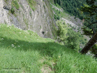 Heuberighüttli