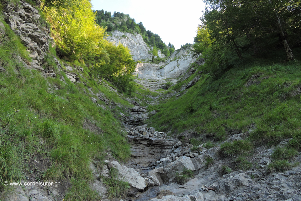 Hinauf bis zu den Waagrecht geschichteten Felsen, dann links.