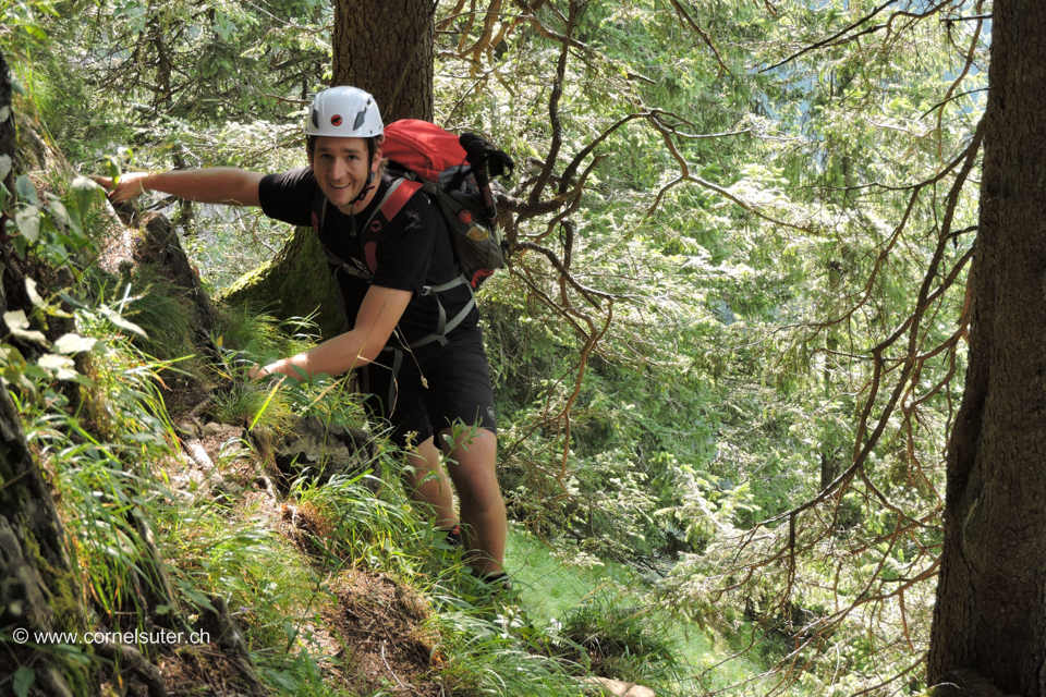 Im Wald darf gekraxelt werden.