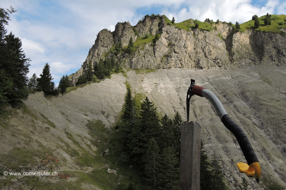 Firstpitz 1624m und mein kleiner Helfer
