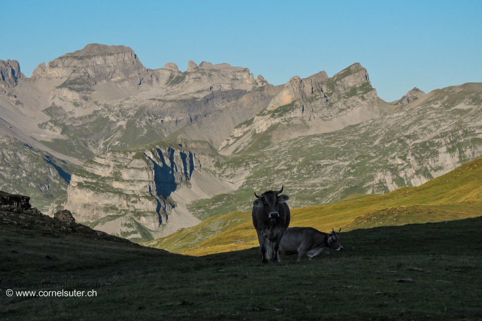 Muotathal, Schweiz....