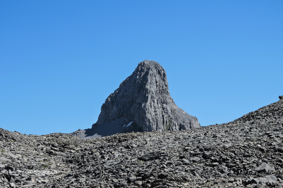 Da guckt ein Höch Turm hinaus...