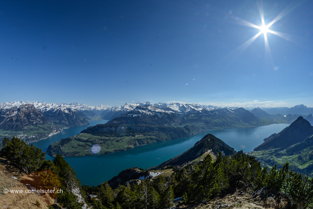 Fantastische Aussicht auf den Unersee/Vierwaldstättersee.