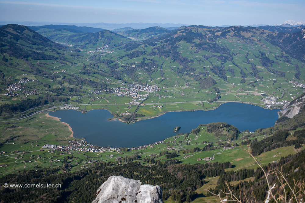Der Lauerzersee.