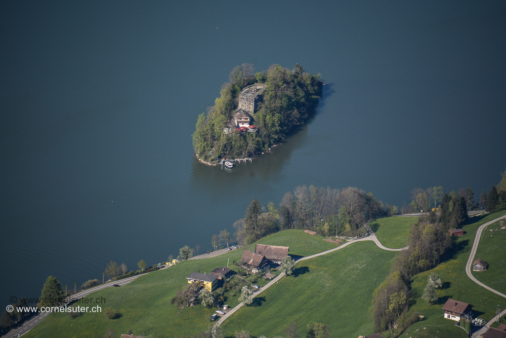 Im Laurzerseee die Insel Schwanau.