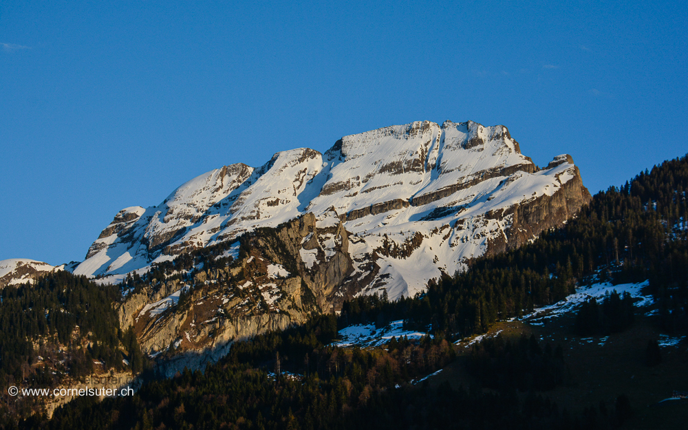 Des Muotitalers Husbärg, der Wasserberg 2341m (Bericht lesen)