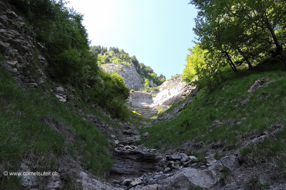 Unterhalb bei diesen Waagrechten Geschichteten Felsen das Tobel nach Links verlassen, um einen Sporn herum, auf diesem hinauf zum Band.