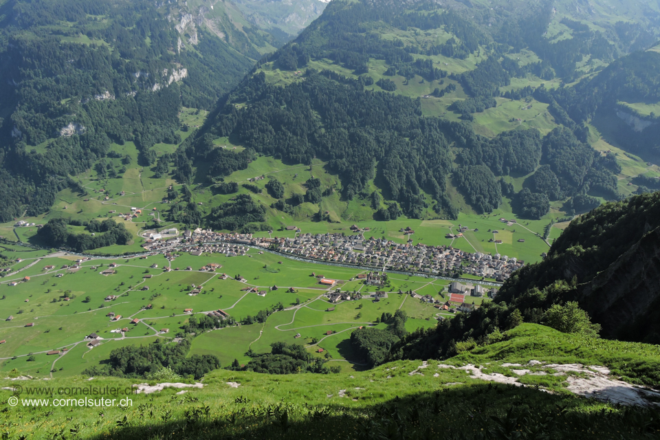 Rückblick und Tiefblick.