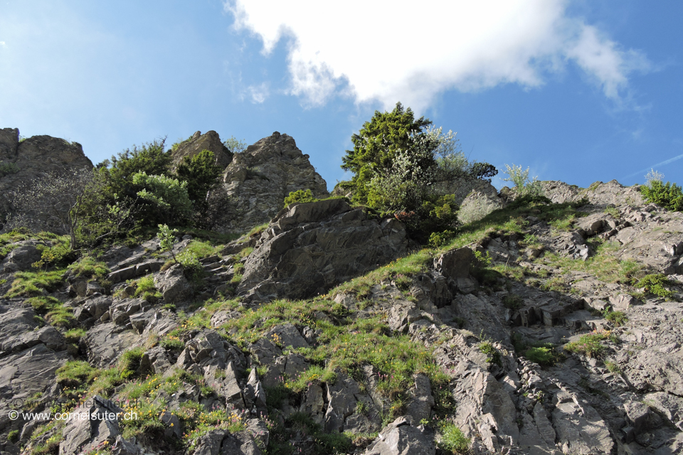 Am Aufstieg zum Firstspitz.