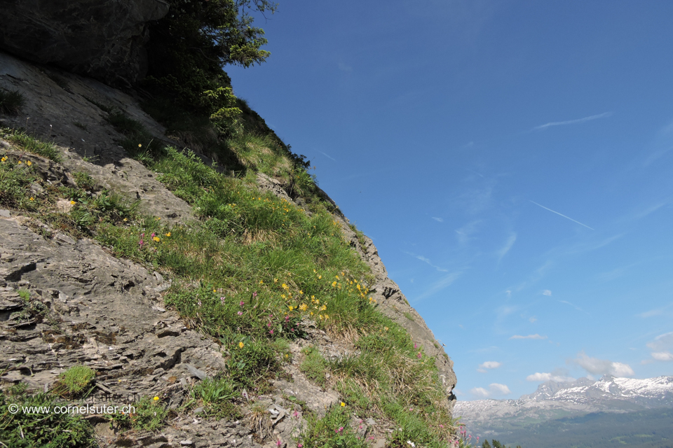 Am Aufstieg zum Firstspitz.