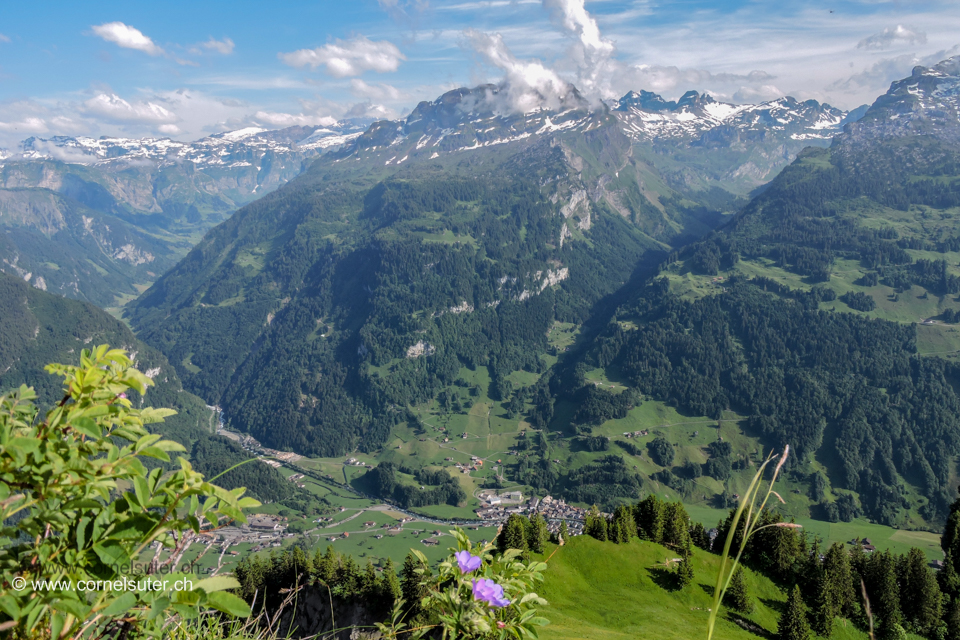 Aussicht auf dem Firstspitz 1624m.