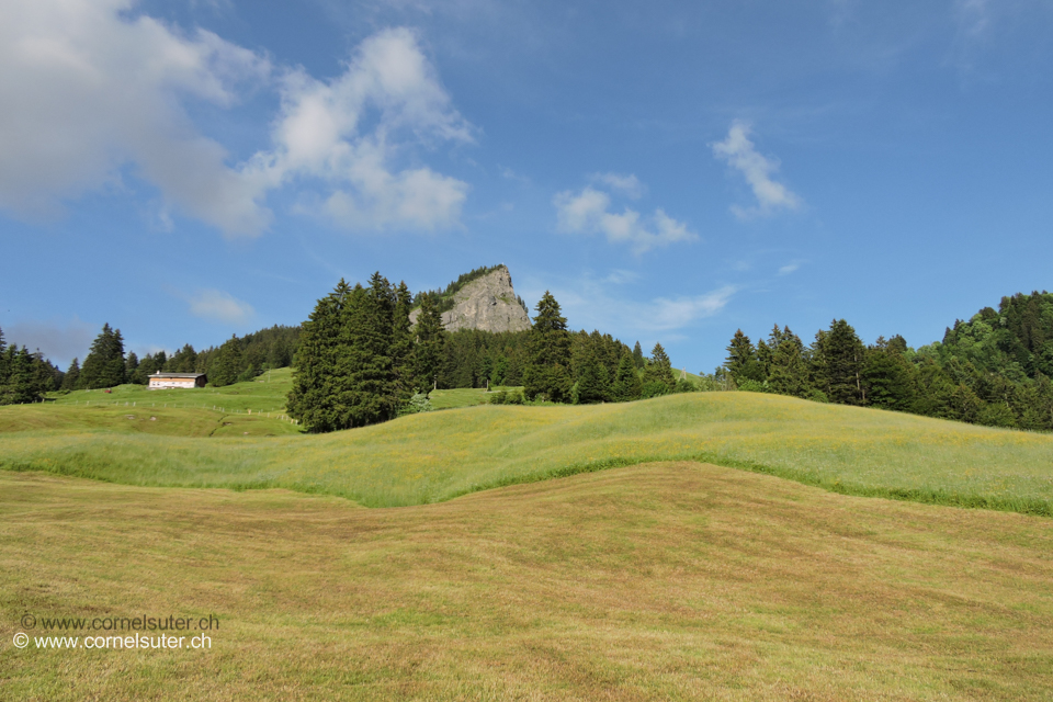 Bei der Buofflen Sicht zurück zum Firstspitz 1624m.