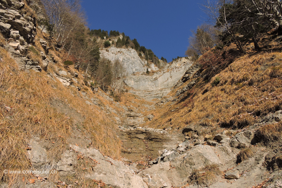 Aufsteigen im Bachtobel bis zu den Waagrechten geschiteten Felsen, links herum.