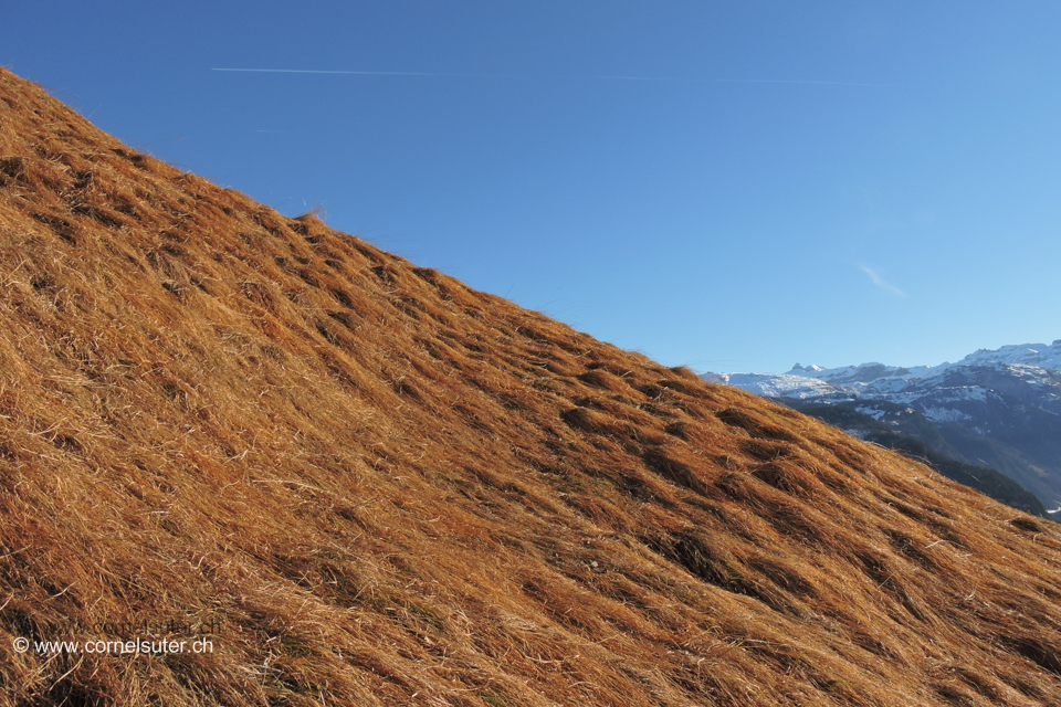 Heuberigsboden