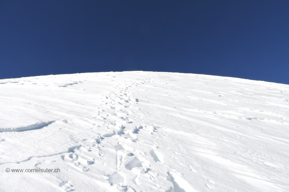 Kurz unterhalb des Breithorns 4164m.