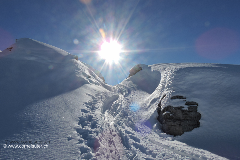 Einfach der Sonne entgegen :-)