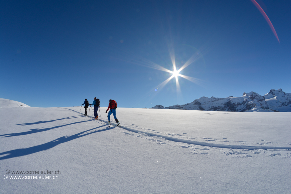 Da ziehen sie davon, im Hintergrund Clariden 3267m, Chammliberg 3215m, Schärhorn 3294m.