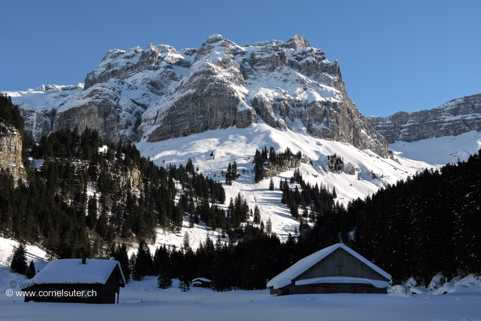 Wieder unten im Sahli 1140m Sicht zurück zum Märä!!