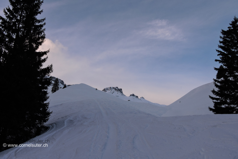 Oberhalb beim Ruosalplerwald, Sicht zum Rau Stöckli 2290m.