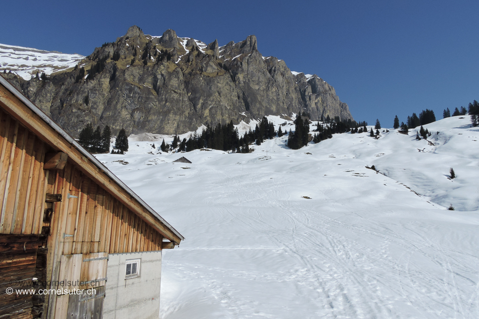 Schinboden