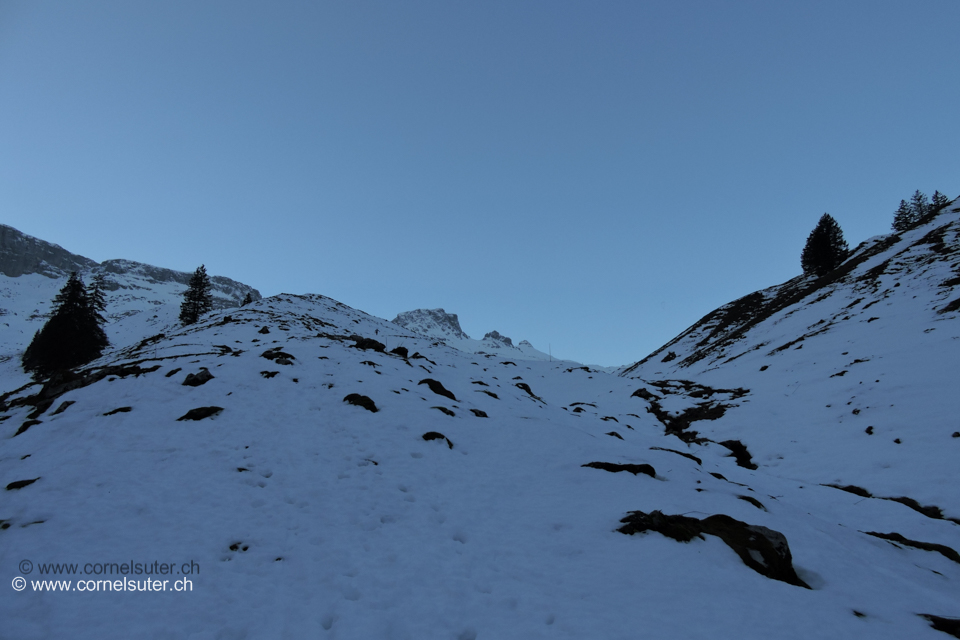 Oberhalb Ruosalpler Wald, wenig Schnee