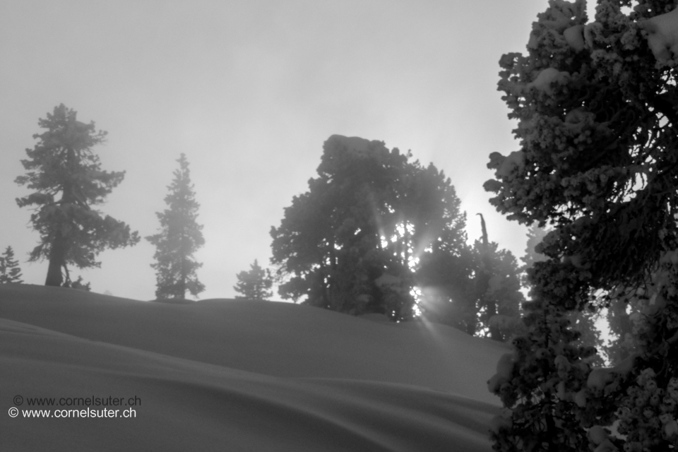 Im Nebel.
