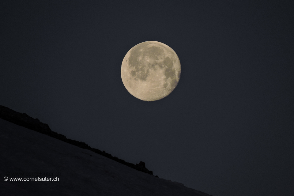 Der Mond ist auch unterwegs.....