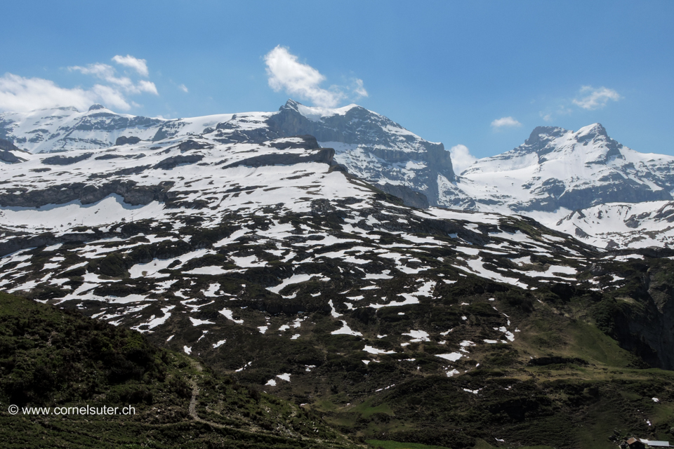 Sicht zurück, von rechts das Schärhorn 3294m, Chammliberg 3215m, Clariden 3267m im Nebel...