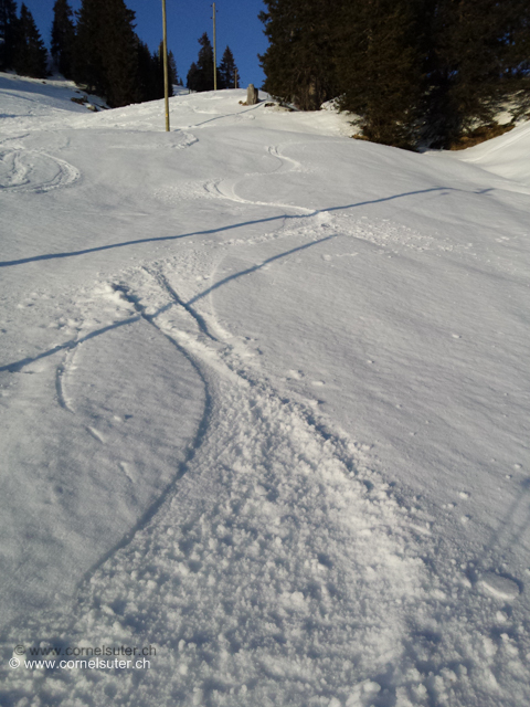 Fyrabig Skitour am 12.März 2015, illgau Deponieplatz 862m - Laucherenstöckli 1756m. In der Abfahrt bereits den ersten Suuulz genossen