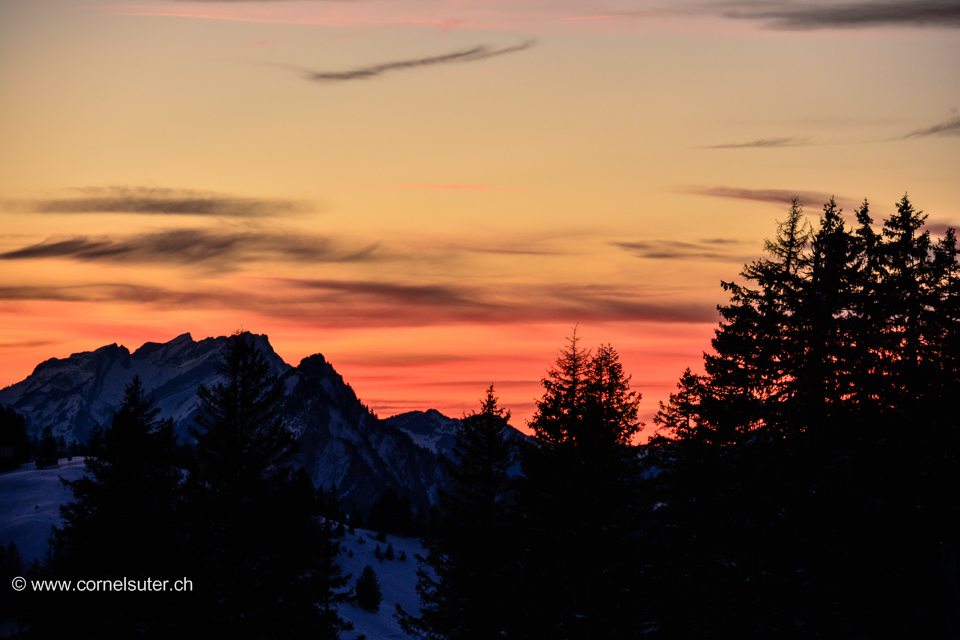 Skitour Training am 12.Januar 2015, Handgruobi 1067m - Brünnelistock 1594m.