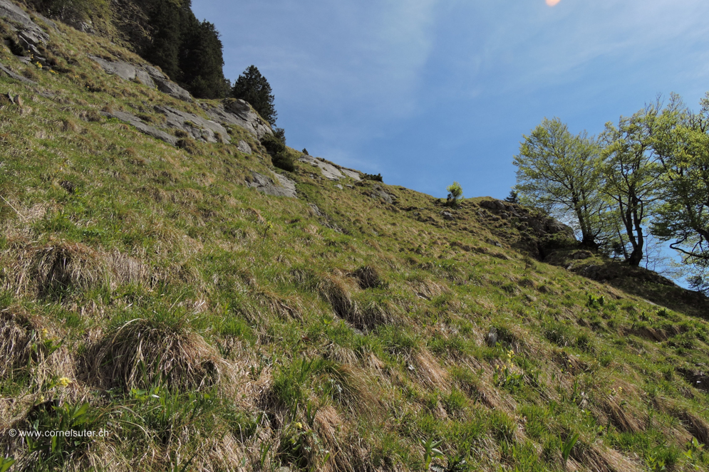 Angekommen auf dem Heuberigsboden
