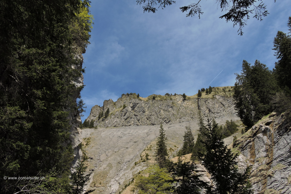 Nach dem Heuberigsboden aufgestiegen Sicht zum Firstspitz 1623m mein nächstes Ziel