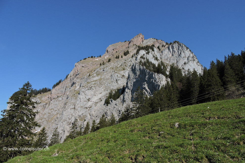 Im Zustieg am Fusse des Gross Mythen