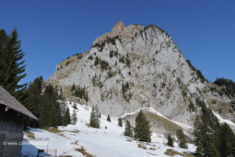 Bei der Holzegg 1405m