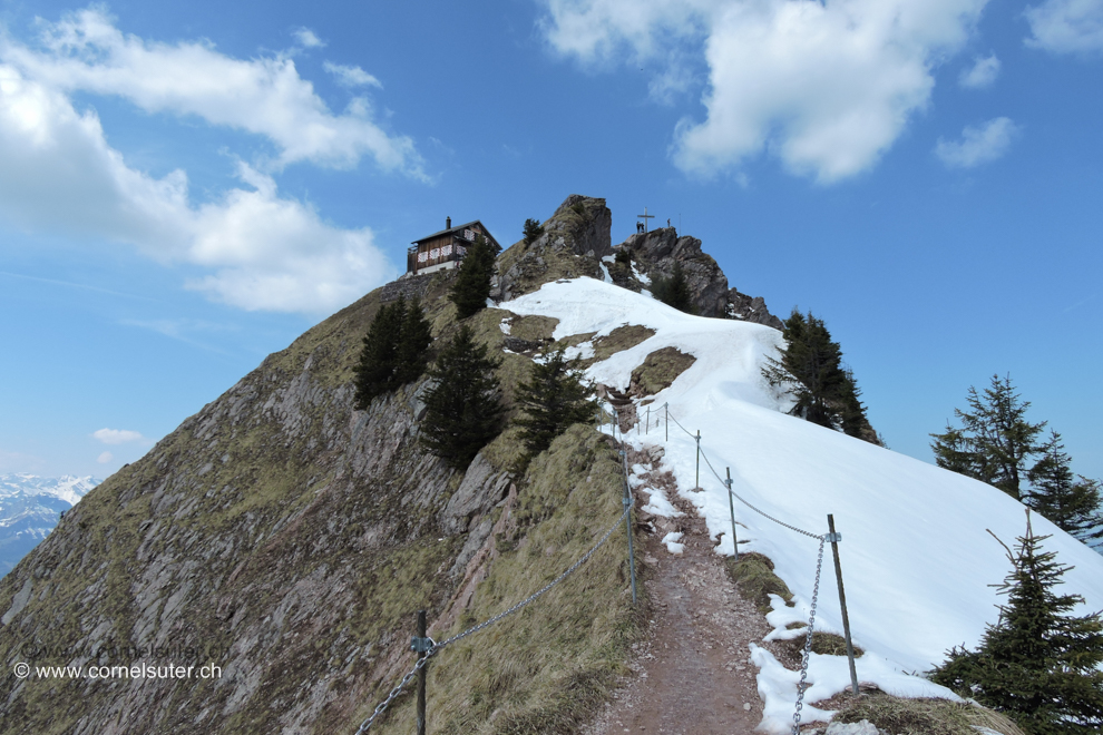 Am Absteig auf dem Bergweg.