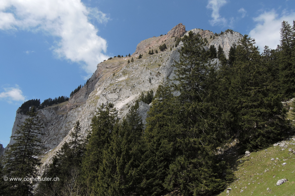 Im Abstieg zum Mythenbad, sicht hinauf zum Gross Mythen.
