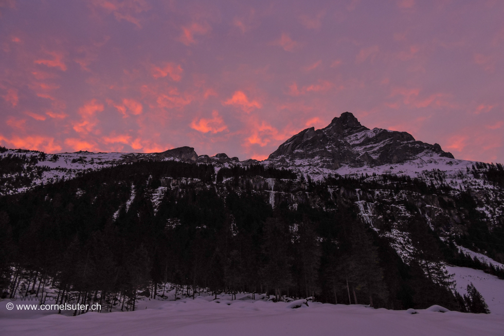 Am Aufstieg, Morgenrot über dem Schlieren 2830m.