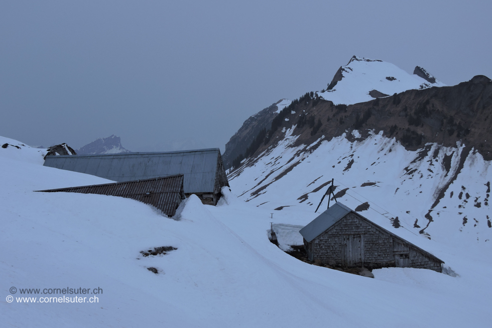 Bei der Alp Vor den Löcheren 1676m.