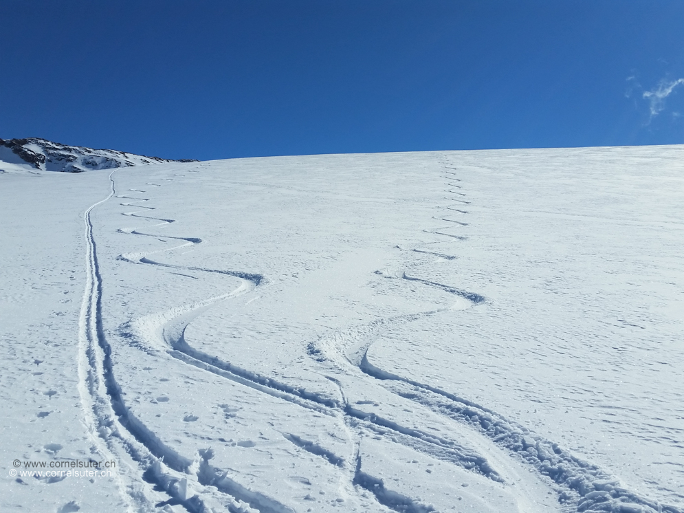 Es scheint als wäre es Winter .....