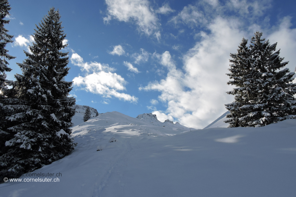 Oberhalb Ruosalpler Wald