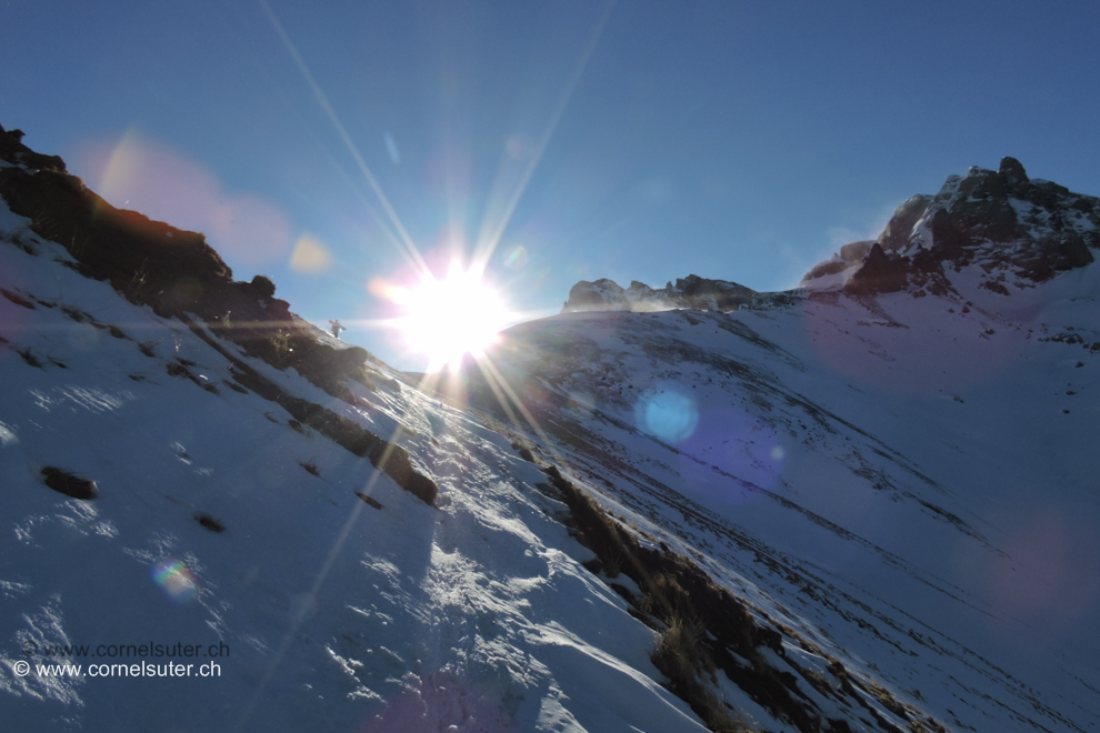 Der Sonne entgegen
