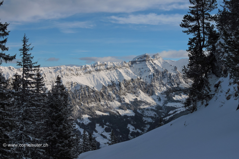 Der Heuberig mit Forstberg und Druesberg
