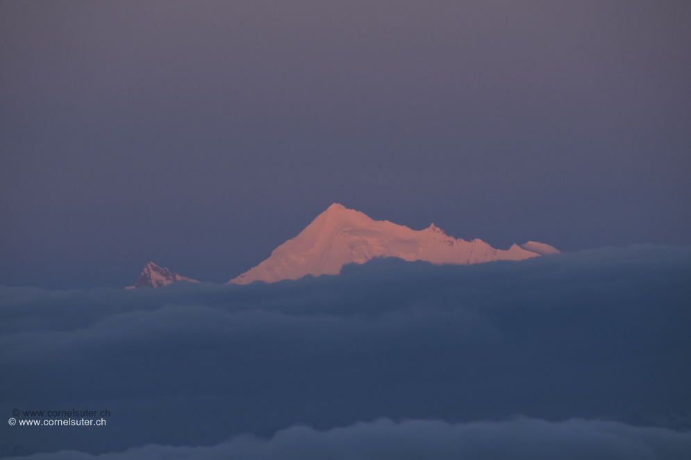 Links das Zinalrothorn 4221m (Klick Bericht lesen), Weisshorn 4506m, Bishorn 4153m.