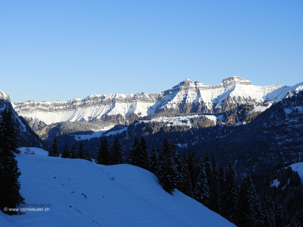 Heuberigkette mit Forstberg und Druesberg.