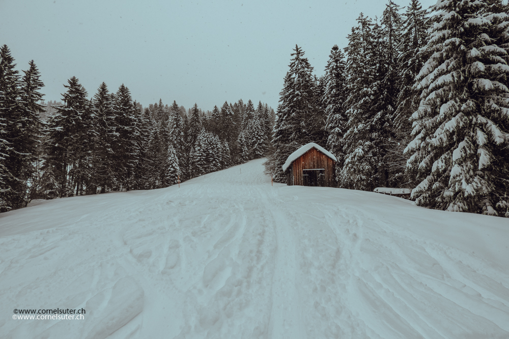 Winterlandschaft