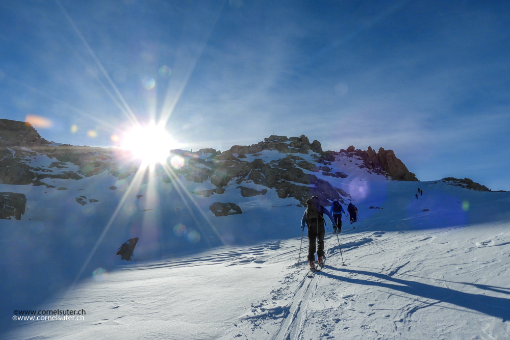 Der Sonne entgegen....