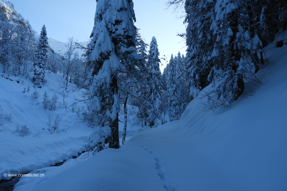 Noch unverspurt, beim Himmelbach Brüggli