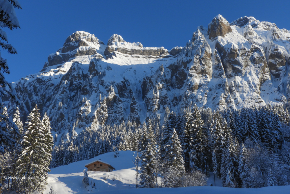 Winterwönderländ mit Forstberg und Druesberg.