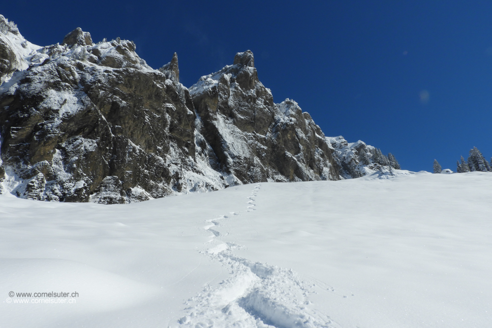 Ziemlich viel Pulverschnee.