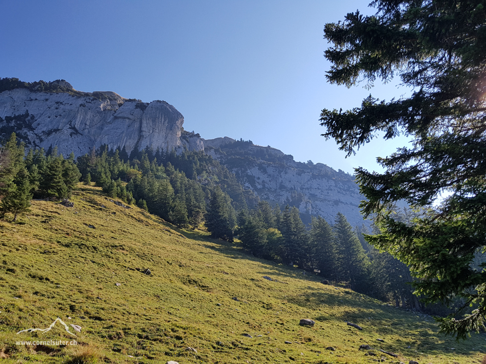 Beim Fronboden hinauf an die Felsen